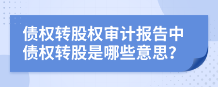 債權(quán)轉(zhuǎn)股權(quán)審計報告中債權(quán)轉(zhuǎn)股是哪些意思？