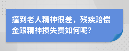 撞到老人精神很差，殘疾賠償金跟精神損失費(fèi)如何呢？