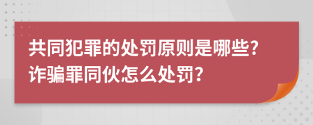 共同犯罪的處罰原則是哪些?詐騙罪同伙怎么處罰？