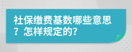 社保繳費基數(shù)哪些意思？怎樣規(guī)定的？