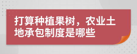 打算種植果樹(shù)，農(nóng)業(yè)土地承包制度是哪些
