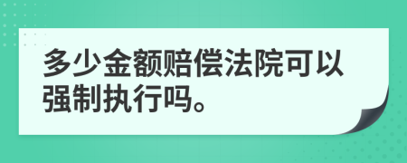多少金額賠償法院可以強(qiáng)制執(zhí)行嗎。