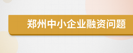 鄭州中小企業(yè)融資問題