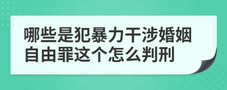 哪些是犯暴力干涉婚姻自由罪這個怎么判刑