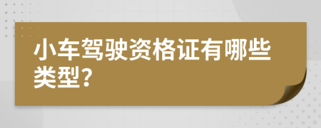 小車駕駛資格證有哪些類型？