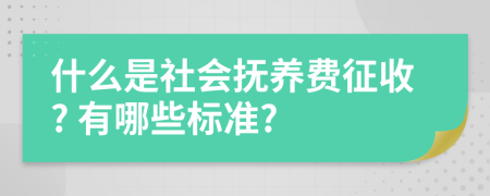 什么是社會(huì)撫養(yǎng)費(fèi)征收? 有哪些標(biāo)準(zhǔn)?