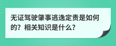 無(wú)證駕駛肇事逃逸定責(zé)是如何的？相關(guān)知識(shí)是什么？