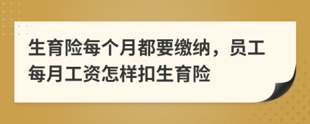 生育險每個月都要繳納,員工每月工資怎樣扣生育險