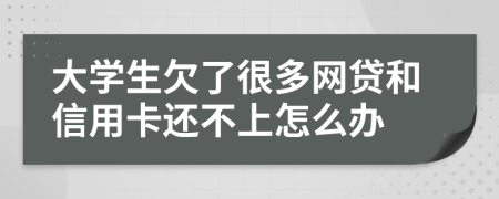 大學(xué)生欠了很多網(wǎng)貸和信用卡還不上怎么辦