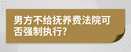 男方不給撫養(yǎng)費法院可否強制執(zhí)行?