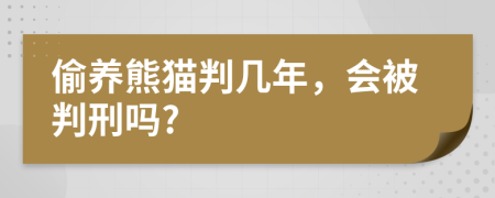 偷養(yǎng)熊貓判幾年，會被判刑嗎?