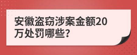 安徽盜竊涉案金額20萬處罰哪些？