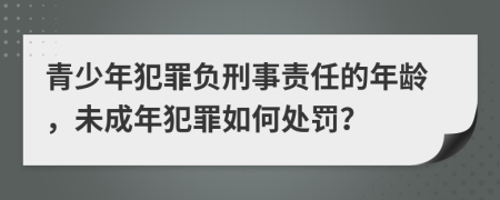青少年犯罪負(fù)刑事責(zé)任的年齡，未成年犯罪如何處罰？