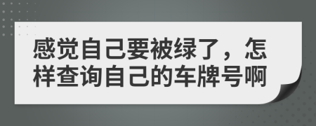 感覺自己要被綠了，怎樣查詢自己的車牌號啊