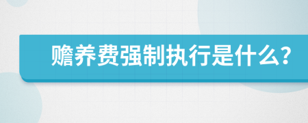 贍養(yǎng)費(fèi)強(qiáng)制執(zhí)行是什么？