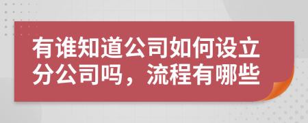 有誰知道公司如何設(shè)立分公司嗎，流程有哪些