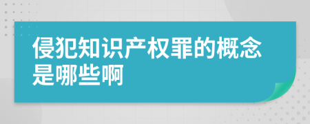 侵犯知識產(chǎn)權(quán)罪的概念是哪些啊