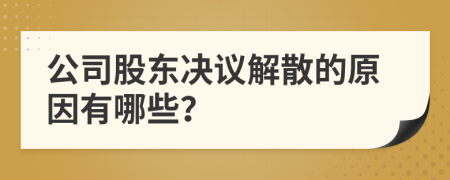 公司股東決議解散的原因有哪些？