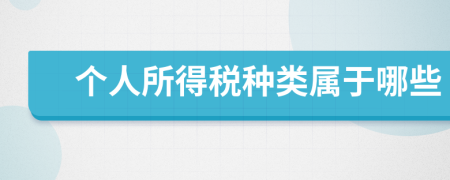 個人所得稅種類屬于哪些