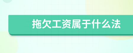 拖欠工資屬于什么法