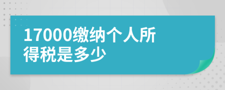 17000繳納個人所得稅是多少