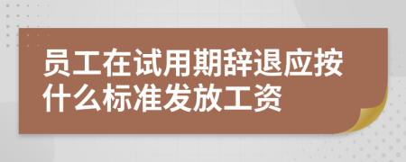 員工在試用期辭退應按什么標準發(fā)放工資