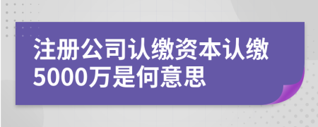 注冊(cè)公司認(rèn)繳資本認(rèn)繳5000萬是何意思
