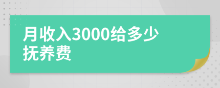 月收入3000給多少撫養(yǎng)費(fèi)