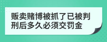 販賣賭博被抓了已被判刑后多久必須交罰金