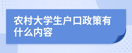 農(nóng)村大學(xué)生戶口政策有什么內(nèi)容