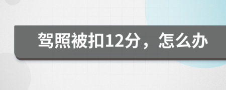駕照被扣12分，怎么辦