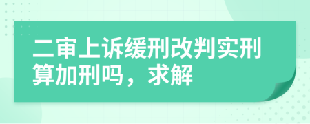 二審上訴緩刑改判實(shí)刑算加刑嗎，求解