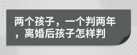 兩個孩子，一個判兩年，離婚后孩子怎樣判