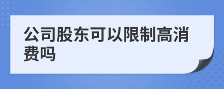公司股東可以限制高消費嗎
