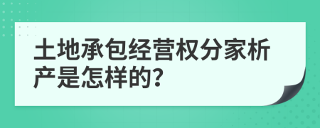 土地承包經(jīng)營(yíng)權(quán)分家析產(chǎn)是怎樣的？