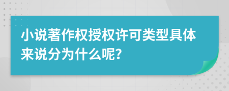 小說著作權授權許可類型具體來說分為什么呢？