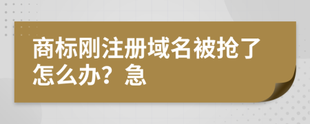 商標(biāo)剛注冊(cè)域名被搶了怎么辦？急