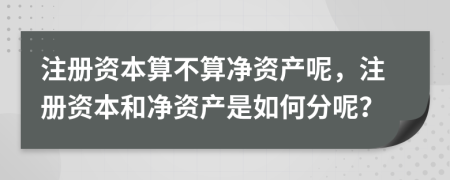 注冊資本算不算凈資產(chǎn)呢，注冊資本和凈資產(chǎn)是如何分呢？