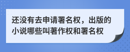 還沒有去申請(qǐng)署名權(quán)，出版的小說哪些叫著作權(quán)和署名權(quán)