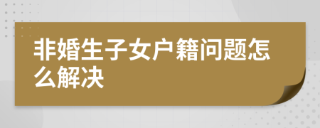 非婚生子女戶籍問(wèn)題怎么解決