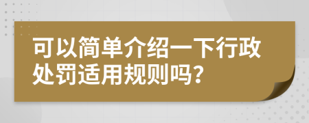 可以簡單介紹一下行政處罰適用規(guī)則嗎？