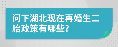 問(wèn)下湖北現(xiàn)在再婚生二胎政策有哪些？