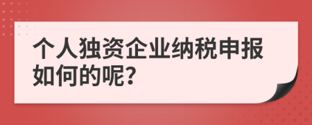 個(gè)人獨(dú)資企業(yè)納稅申報(bào)如何的呢？