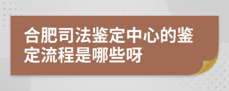 合肥司法鑒定中心的鑒定流程是哪些呀