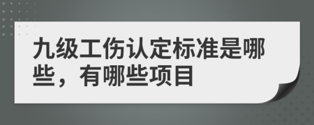 九級(jí)工傷認(rèn)定標(biāo)準(zhǔn)是哪些，有哪些項(xiàng)目