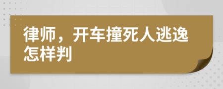 律師，開(kāi)車撞死人逃逸怎樣判