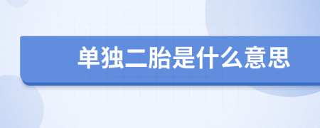單獨(dú)二胎是什么意思