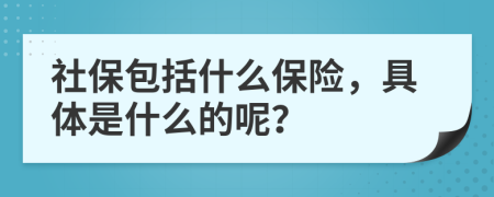 社保包括什么保險，具體是什么的呢？
