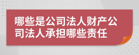 哪些是公司法人財(cái)產(chǎn)公司法人承擔(dān)哪些責(zé)任