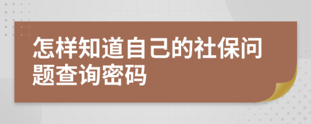 怎樣知道自己的社保問(wèn)題查詢密碼